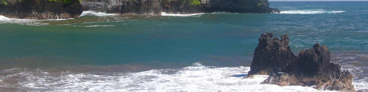 Hawaii Tropical Botanical Garden showing rugged coastline