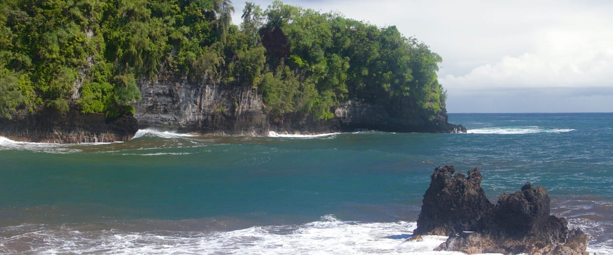 Hawaii Tropical Botanical Garden showing rugged coastline