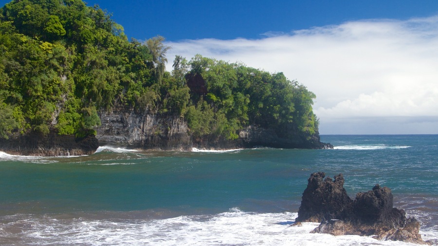 Hawaii Tropical Botanical Garden showing rugged coastline