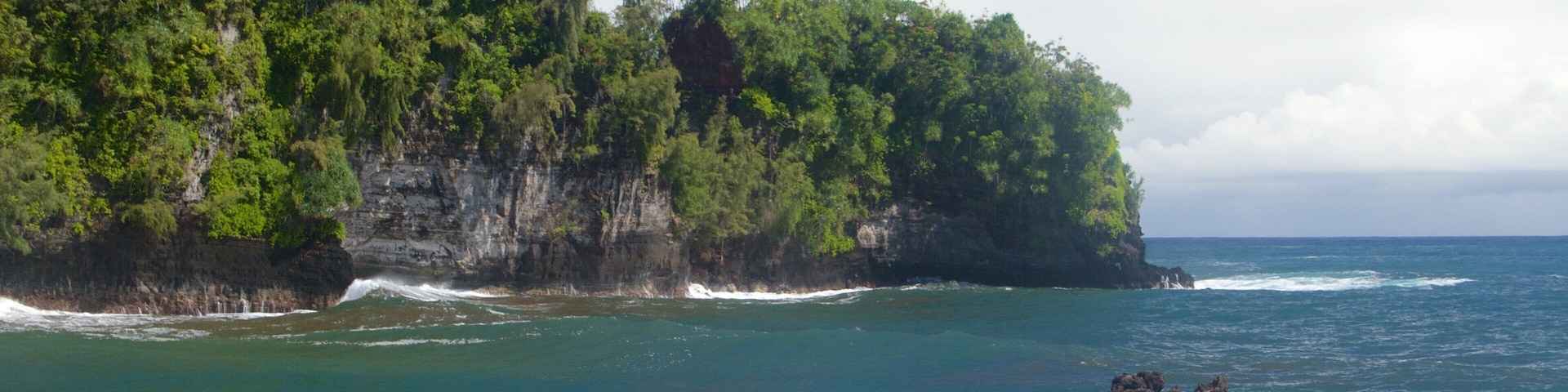 夏威夷热带植物园