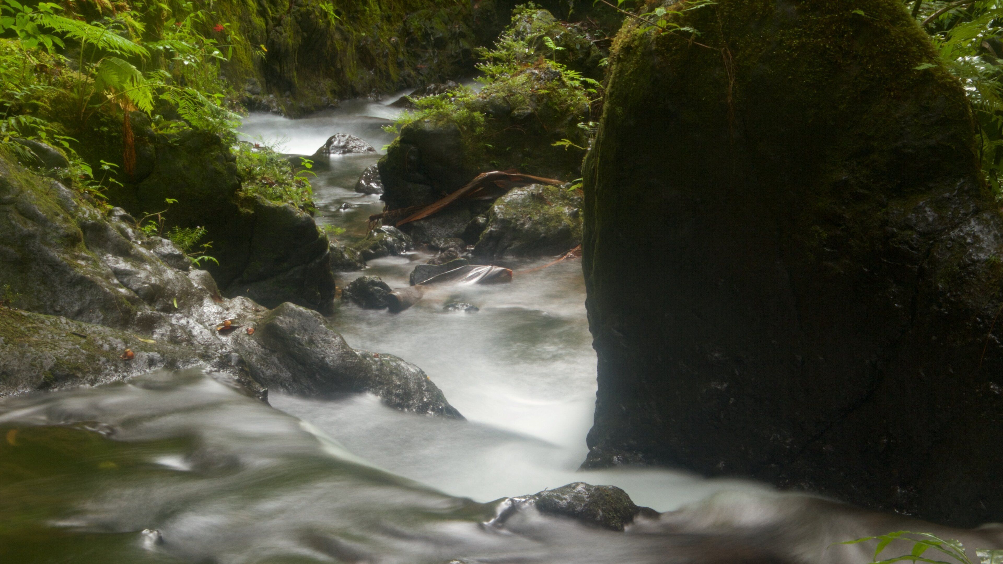Hawaii Tropical Botanical Garden showing a park and a waterfall