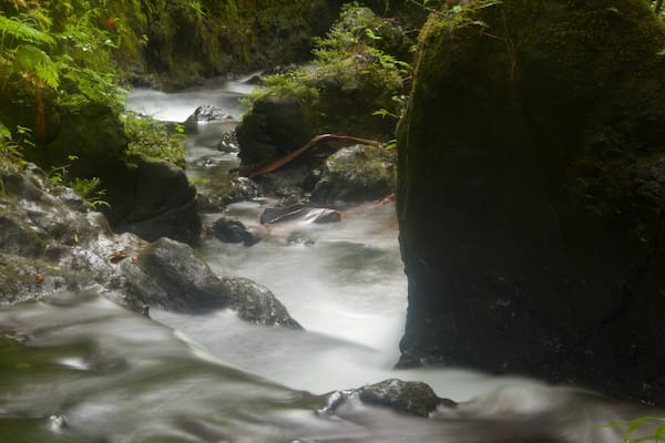 Hawaii Tropical Botanical Garden showing a park and a waterfall