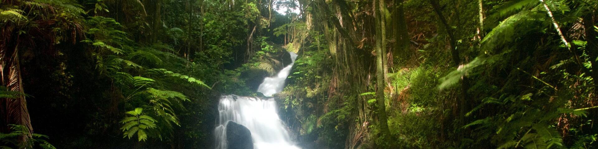 Hawaii Tropical Botanical Garden which includes a park and a cascade