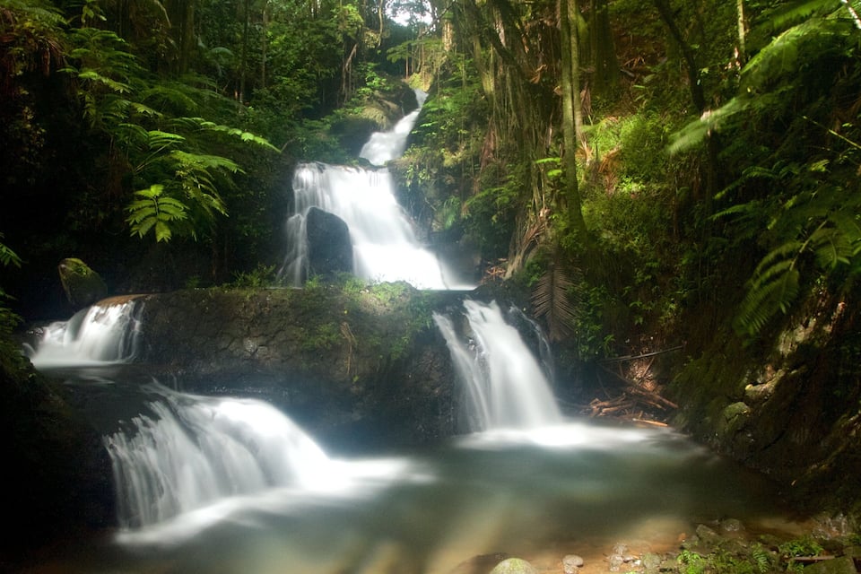 A waterfall in a dense forest with lush greenery and rocky terrain.