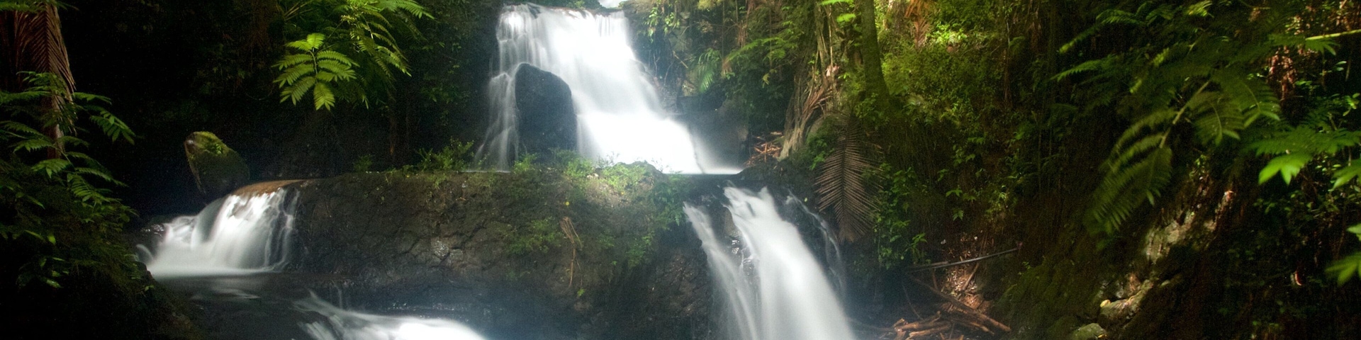 Hawaii Tropical Botanical Garden which includes a park and a cascade