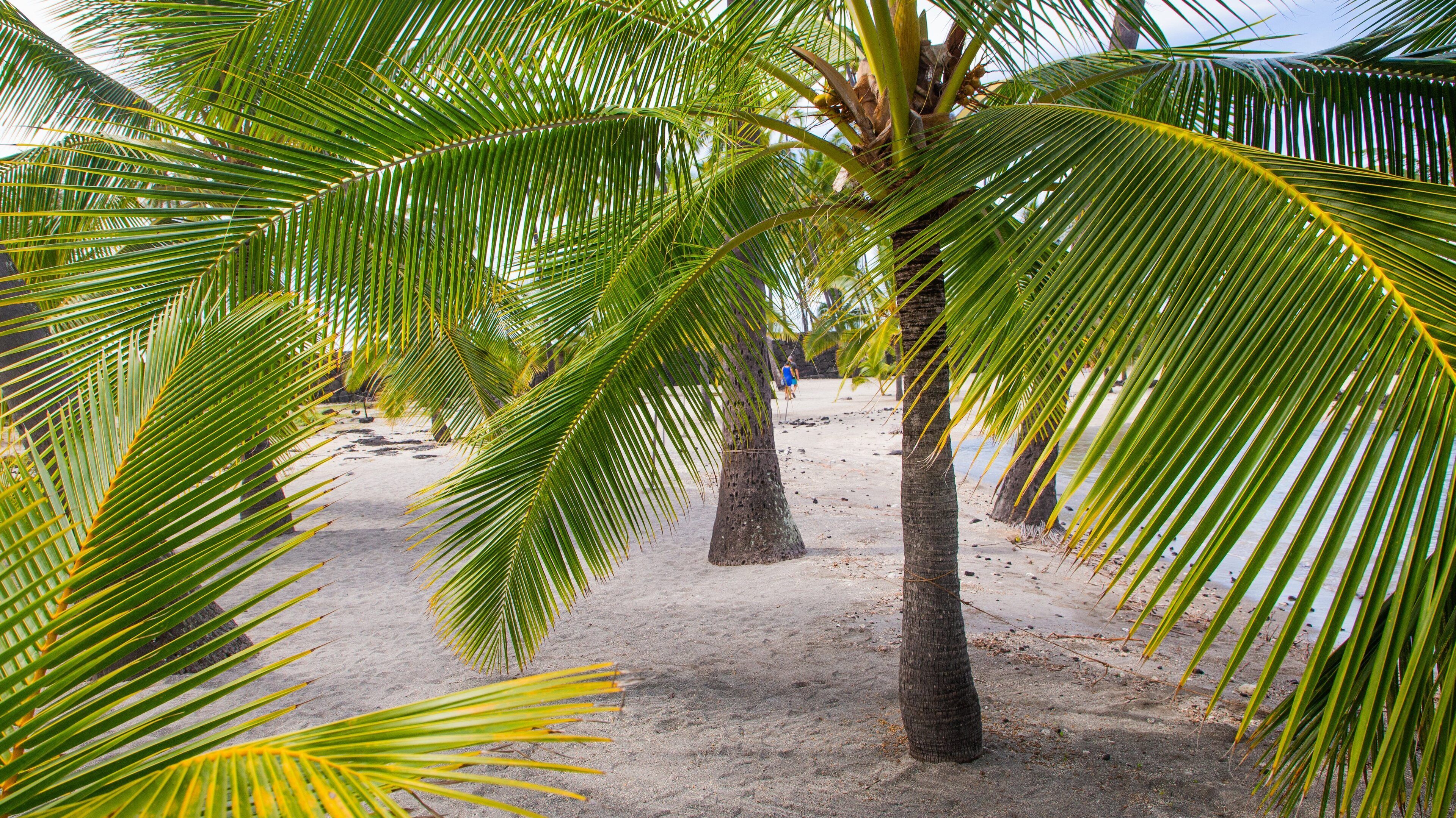 Pu\'uhonua o Honaunau National Historical Park featuring a sandy beach and tropical scenes