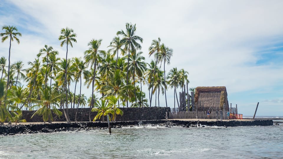 A coastal scene with palm trees, a stone wall, and a thatched-roof structure.