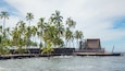 A coastal scene with palm trees, a stone wall, and a thatched-roof structure.