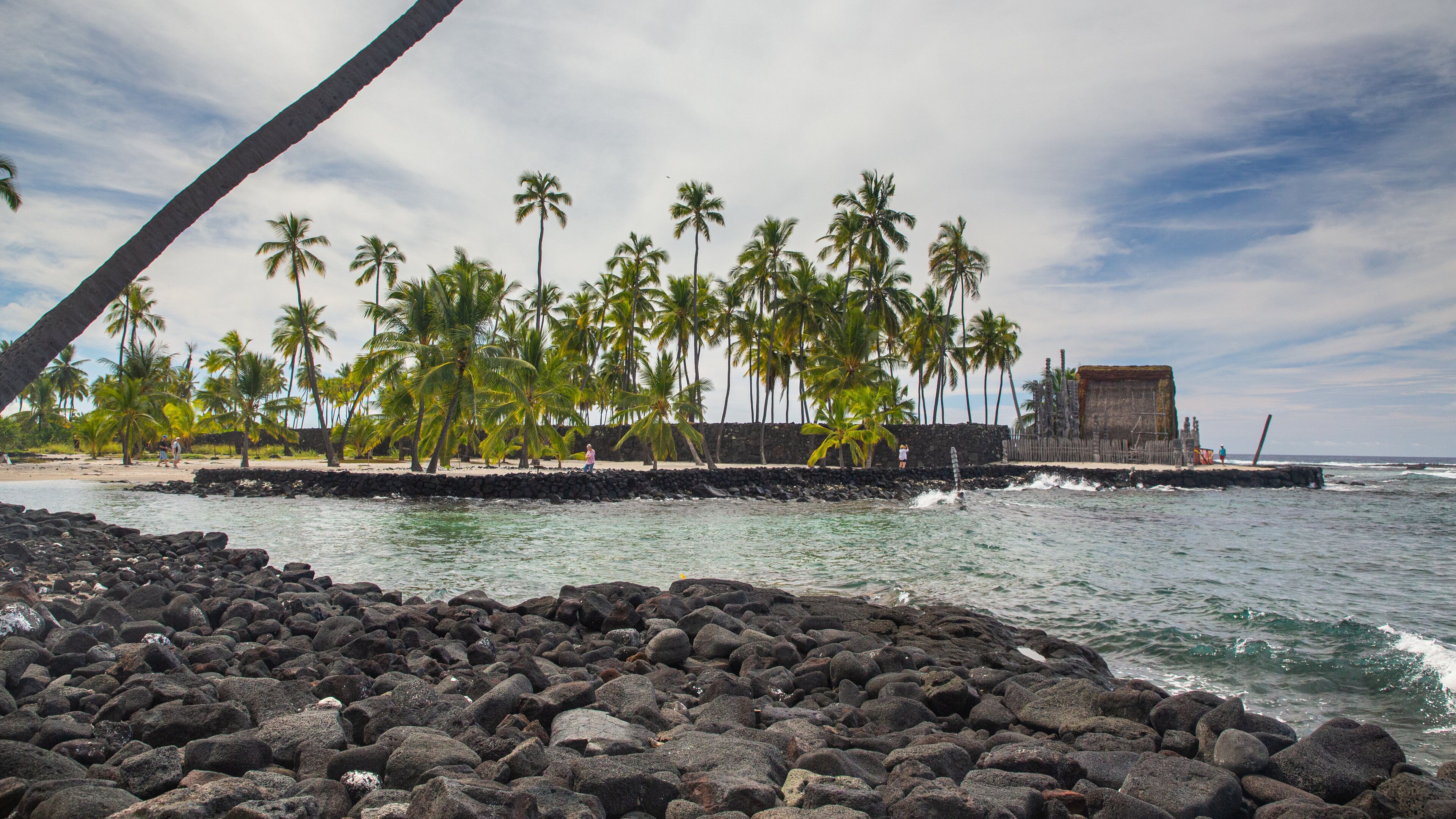 A rocky shoreline with palm trees and a stone wall.