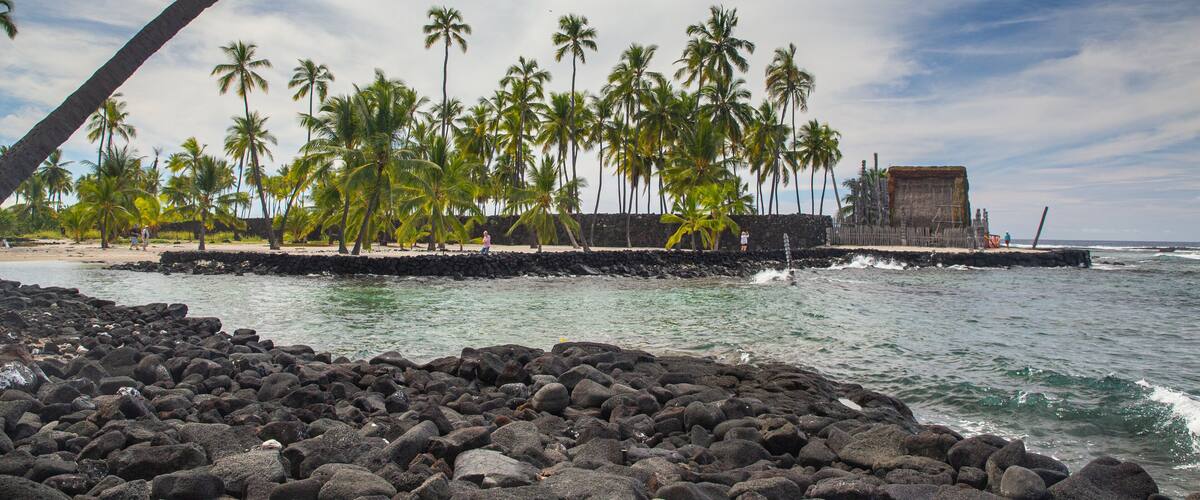 A rocky shoreline with palm trees and a stone wall.