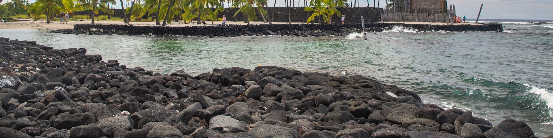 A rocky shoreline with palm trees and a stone wall.