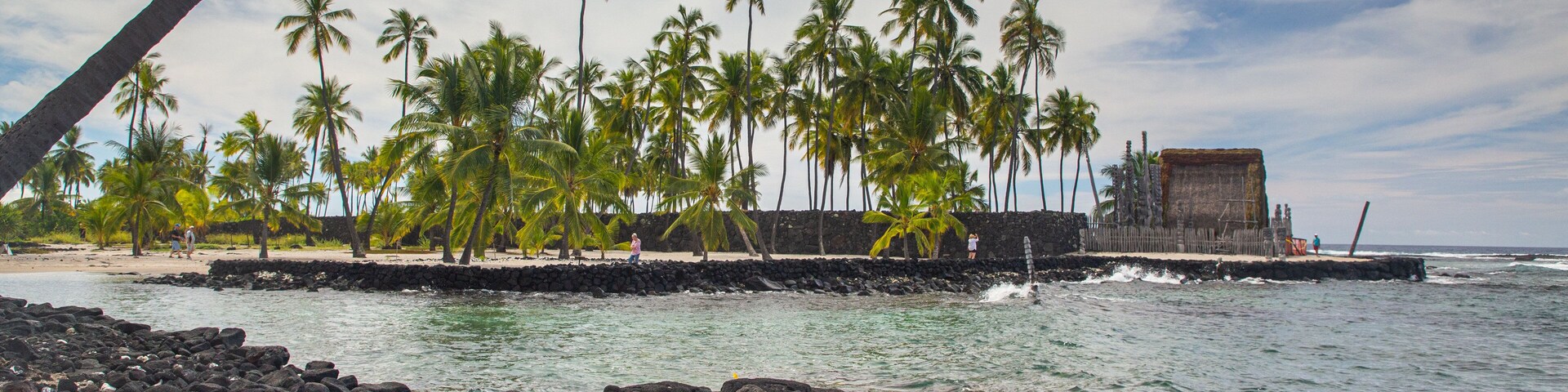 Una costa rocosa con palmeras y un muro de piedra.