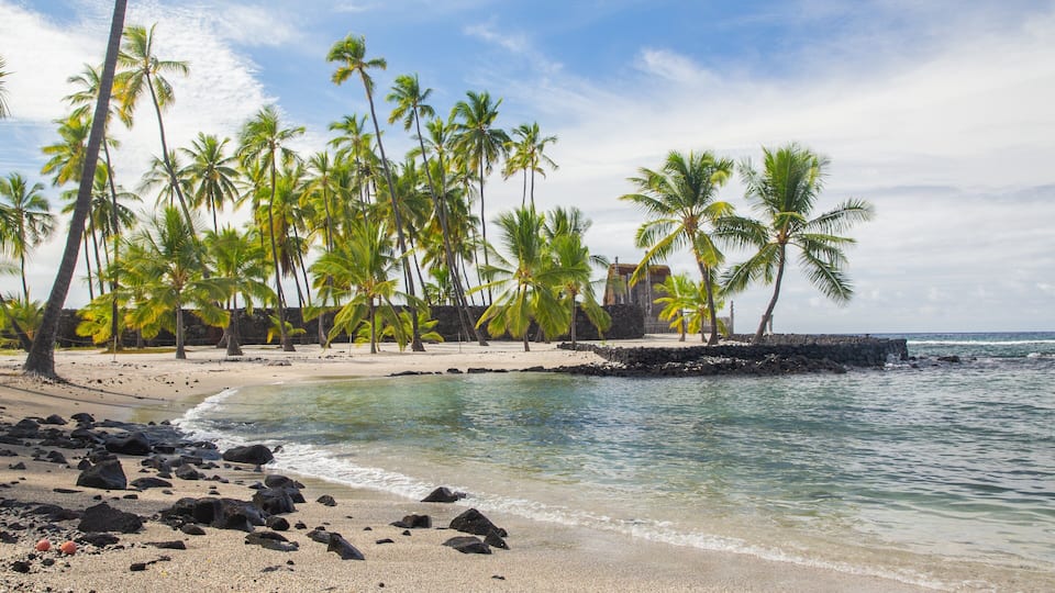A tropical beach with palm trees, a stone wall, and a rocky shoreline.