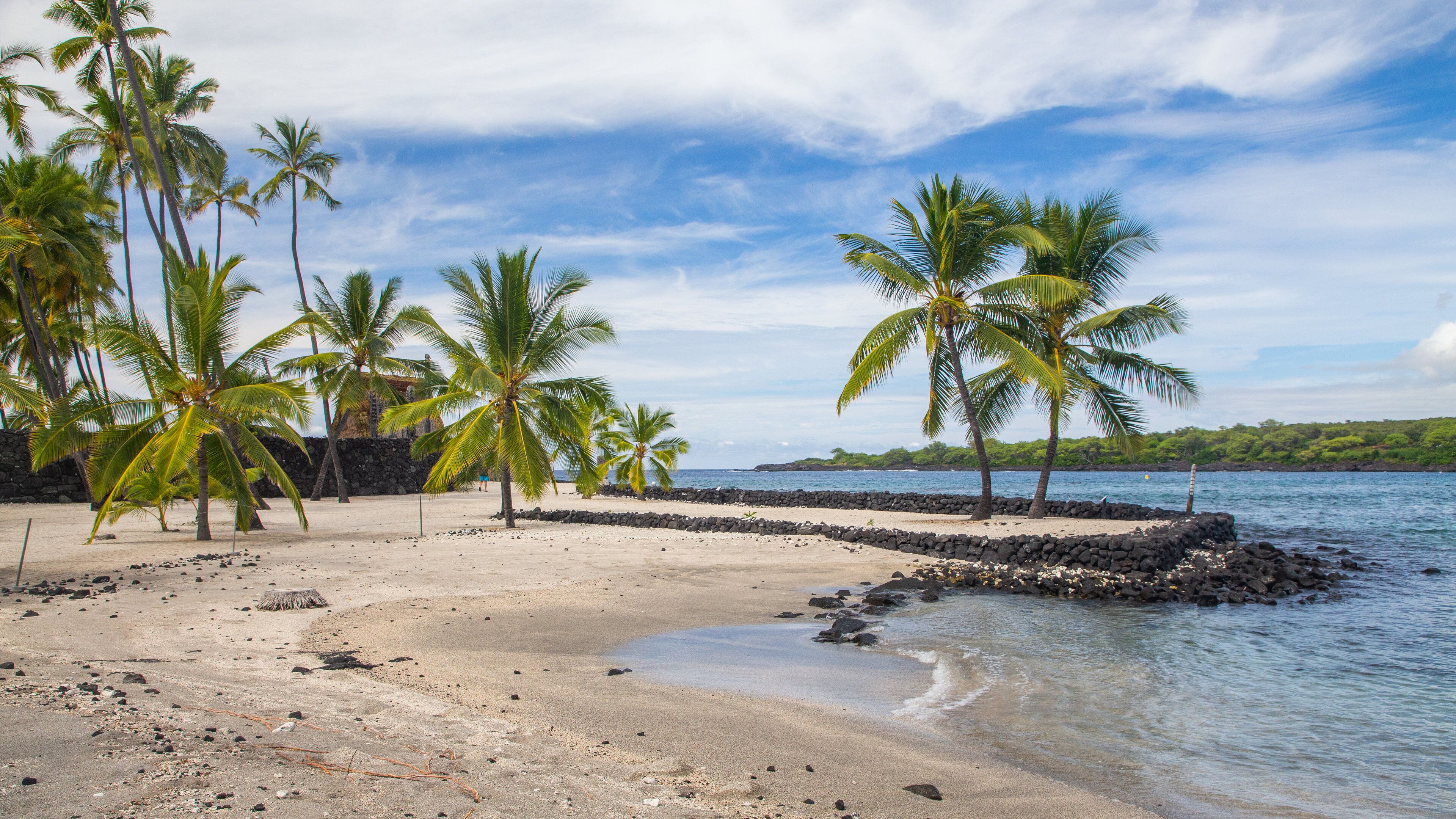 A tropical beach with palm trees, a stone wall, and calm waters.