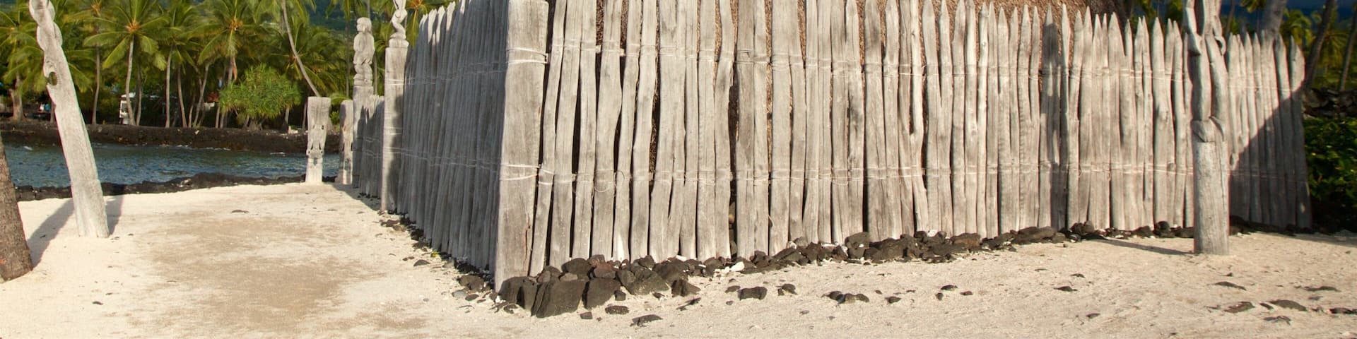 Pu\'uhonua o Honaunau National Historical Park mostrando vistas generales de la costa y escenas tropicales
