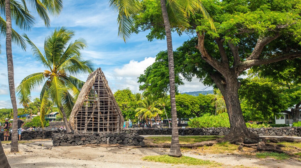 Pu\'uhonua o Honaunau National Historical Park which includes a park and tropical scenes