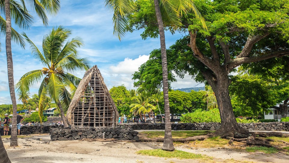 A traditional thatched structure surrounded by palm trees and a stone wall.