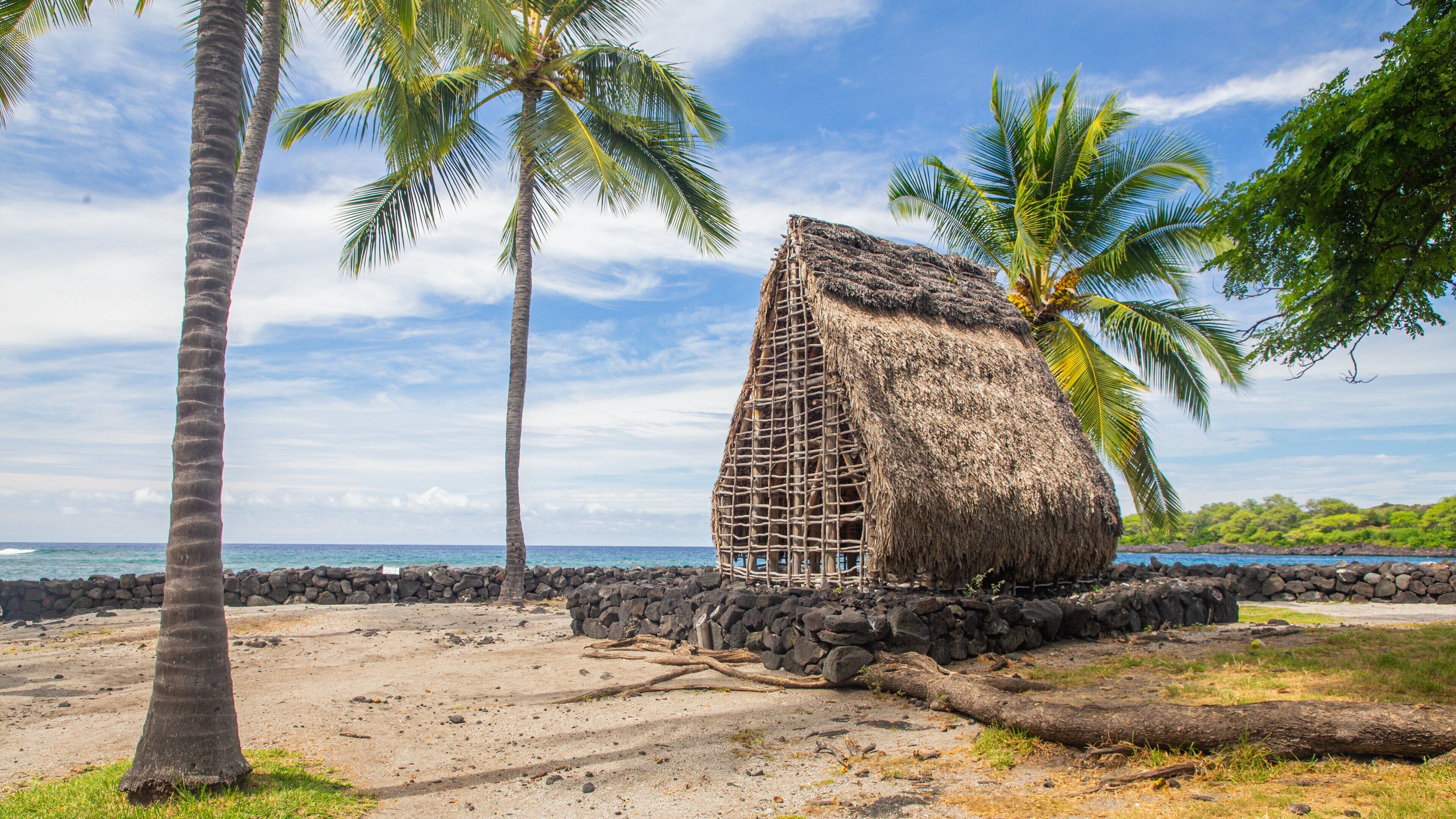 Captain Cook featuring general coastal views, tropical scenes and a beach