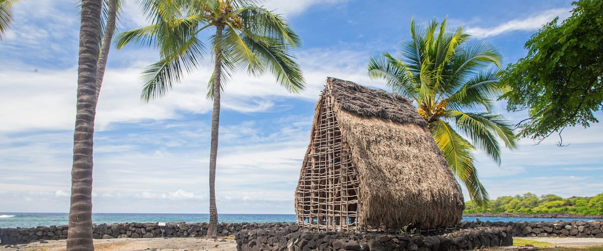 Captain Cook featuring general coastal views, tropical scenes and a beach