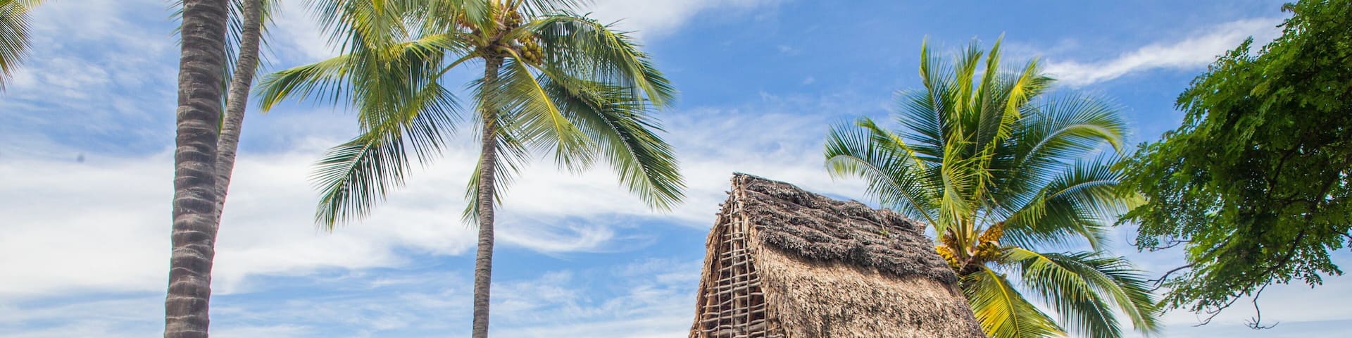 Captain Cook featuring general coastal views, tropical scenes and a beach