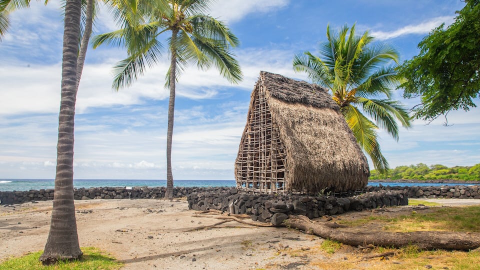 A thatched hut on a rocky beach with palm trees and a clear sky.