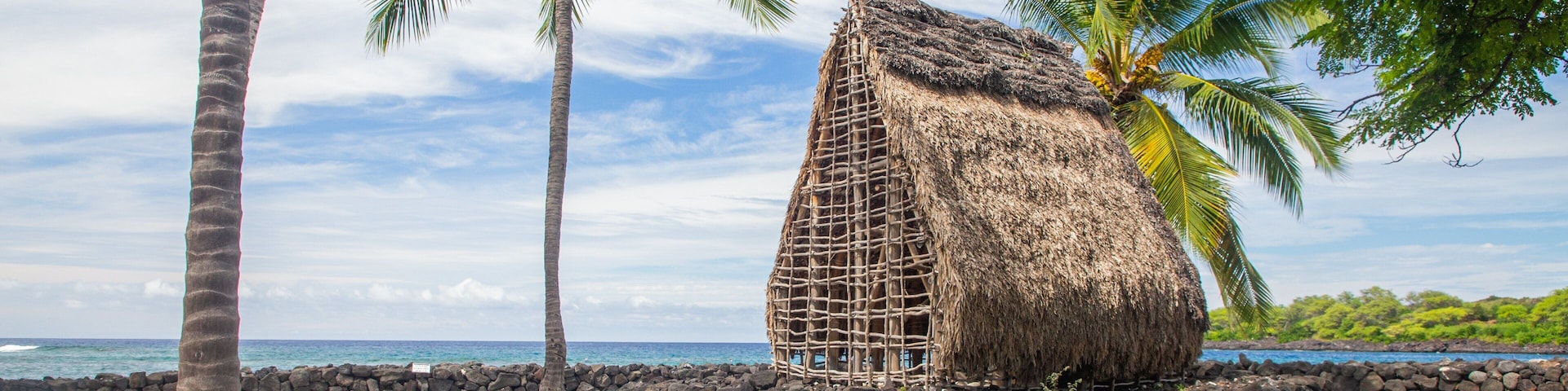 Captain Cook featuring general coastal views, tropical scenes and a beach