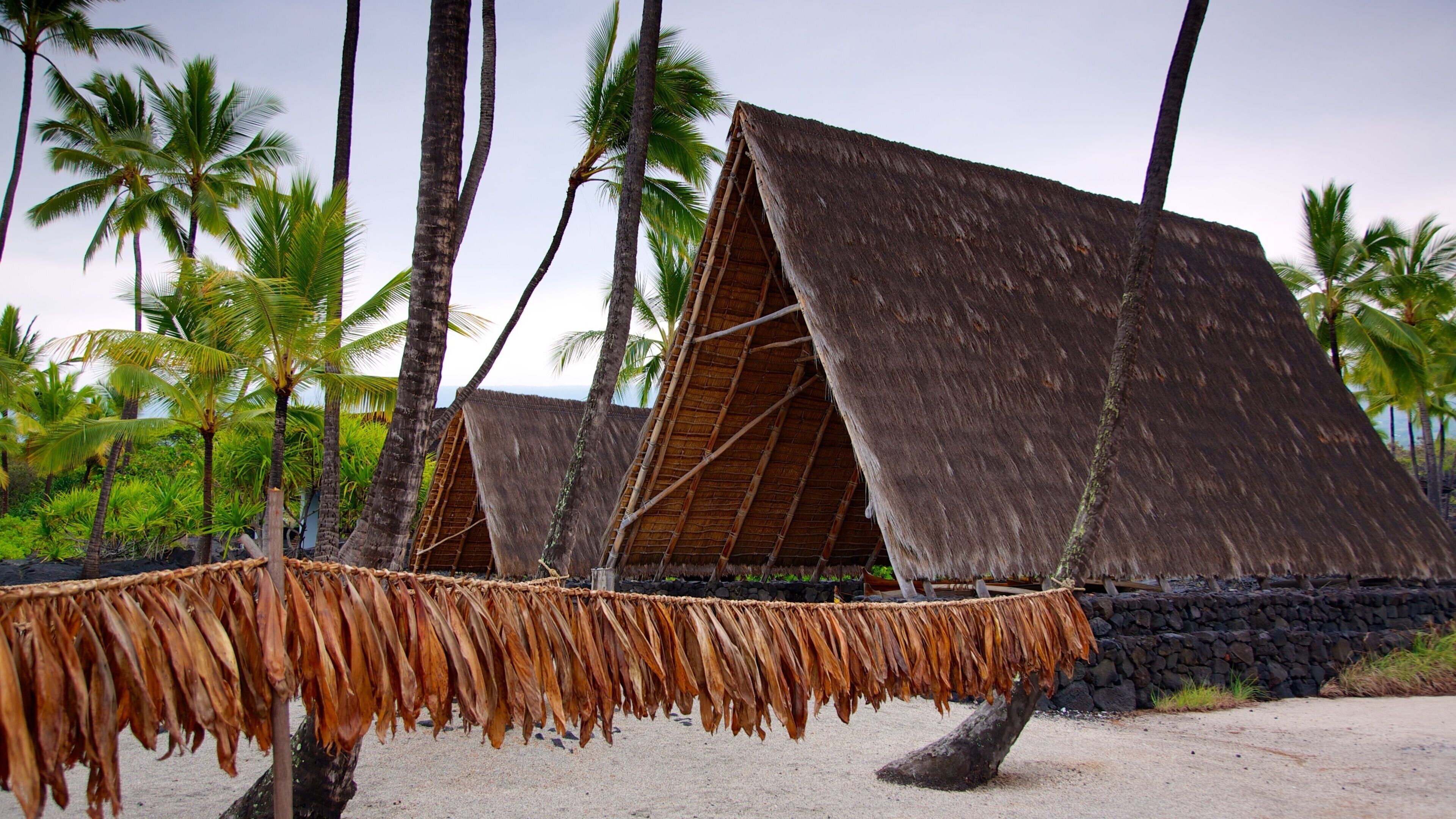 Pu\'uhonua o Honaunau National Historical Park which includes tropical scenes, a beach and general coastal views