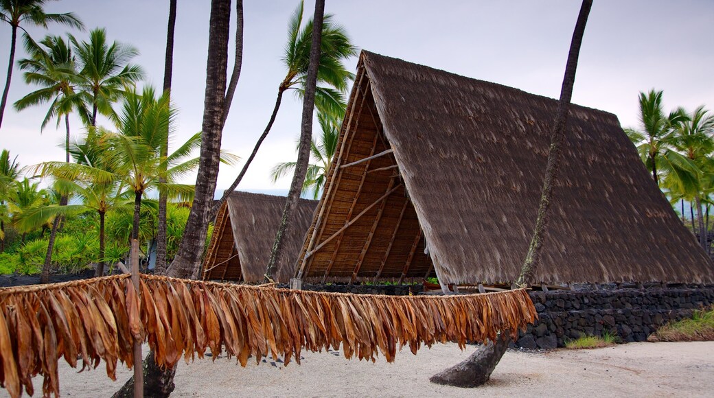 Pu\'uhonua o Honaunau National Historical Park which includes tropical scenes, a beach and general coastal views