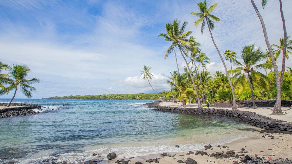 A beach with palm trees, clear blue water, and a rocky shoreline.