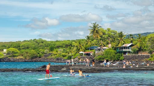 Pu\'uhonua o Honaunau National Historical Park featuring general coastal views, kayaking or canoeing and tropical scenes