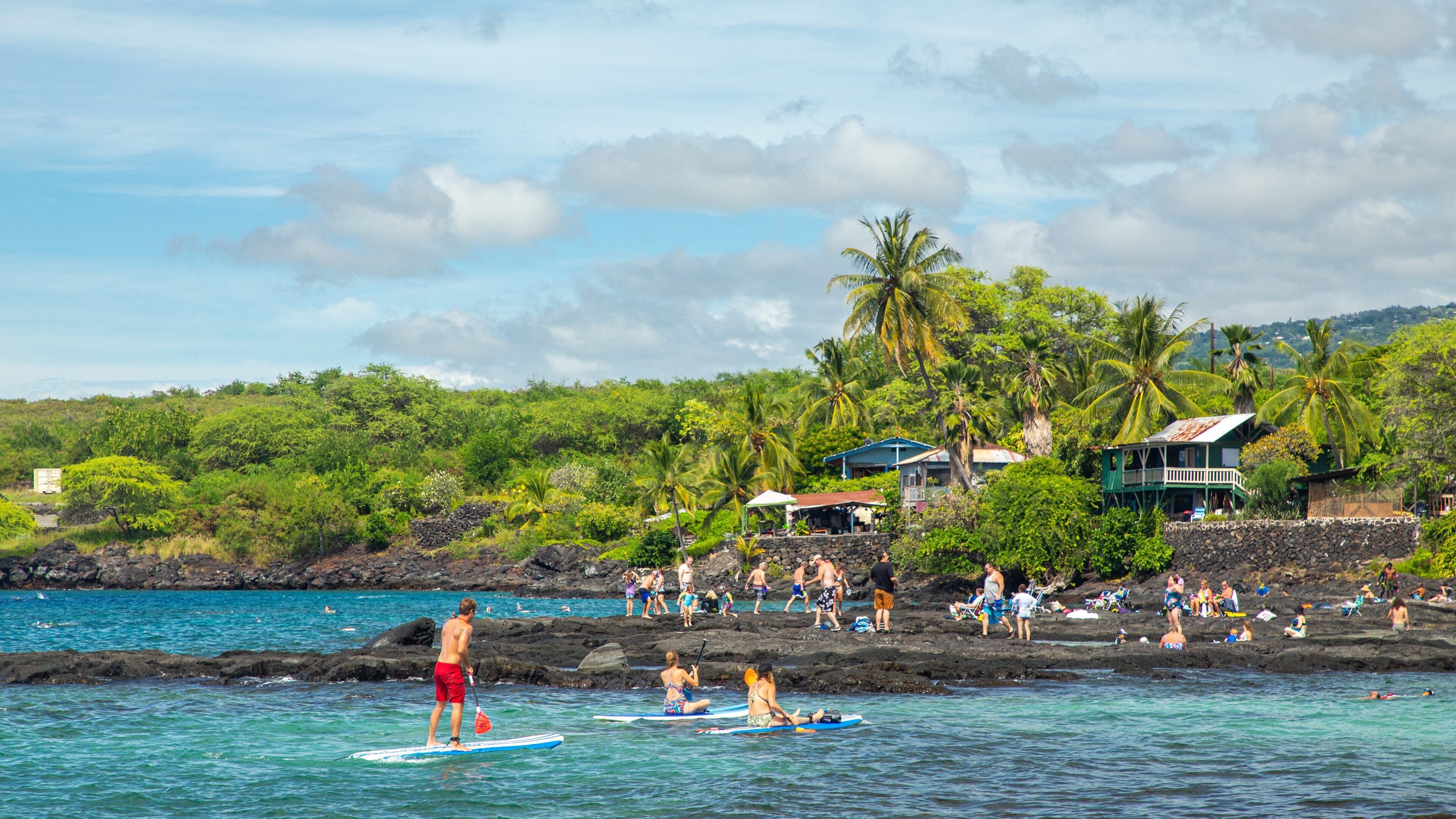 A beach with people paddleboarding, palm trees, and houses in the background.