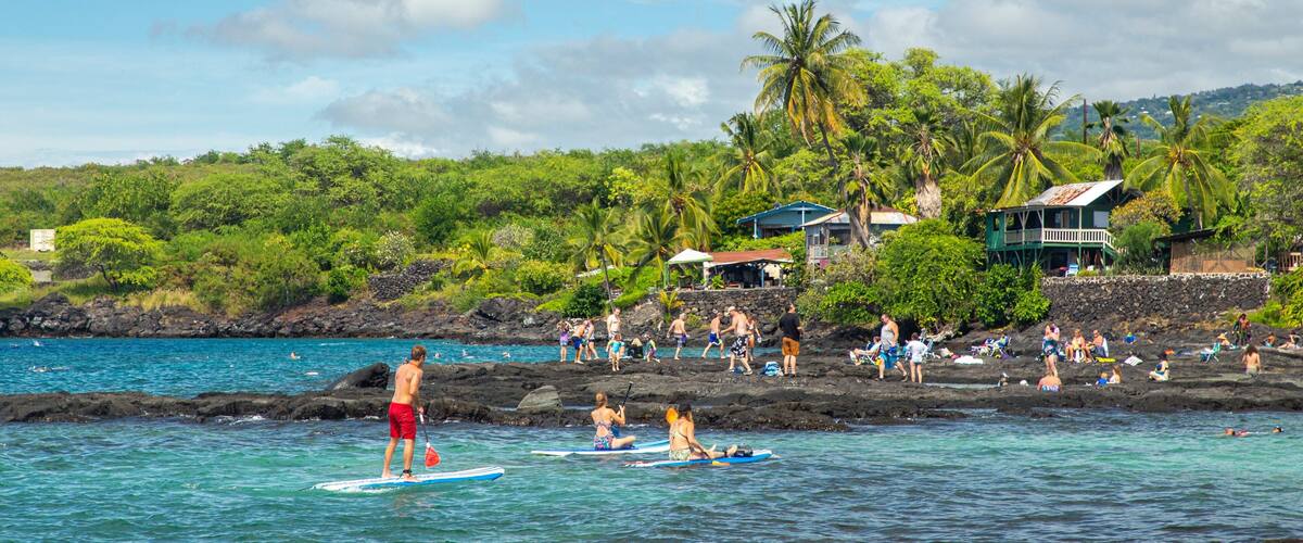 A beach with people paddleboarding, palm trees, and houses in the background.