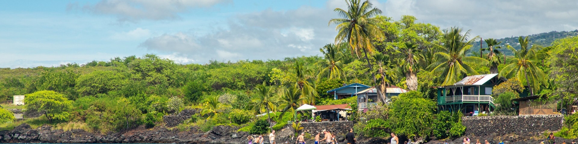 A beach with people paddleboarding, palm trees, and houses in the background.