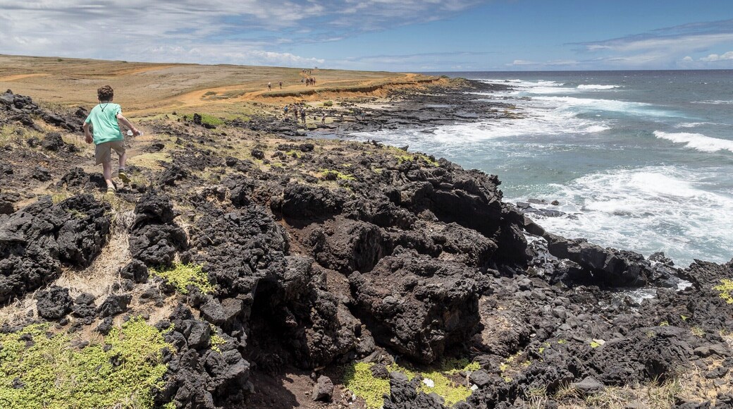 Coastal Trail from South Point to the Green Sand Beach, Hawaii.
#lifeatexpedia