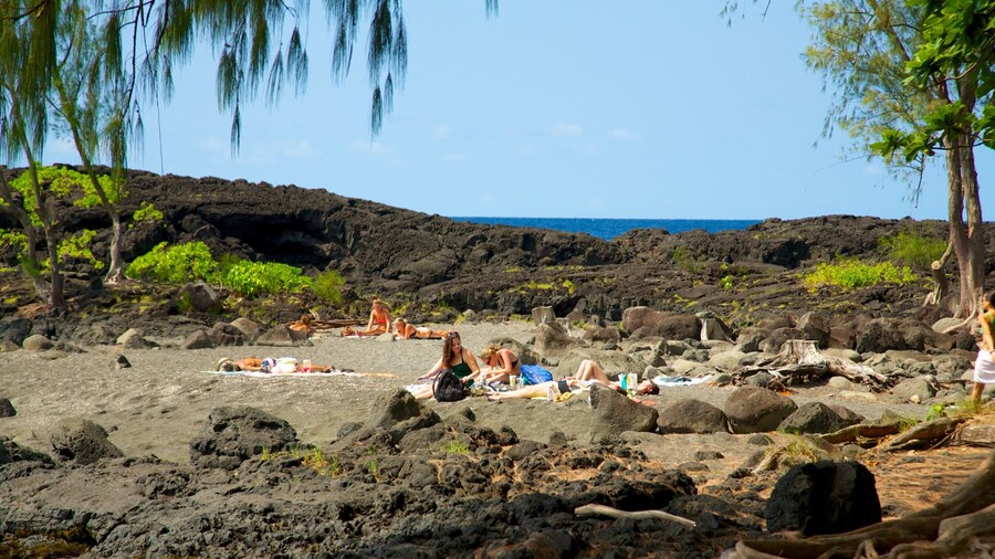 Richardson\'s Ocean Park which includes a park and landscape views