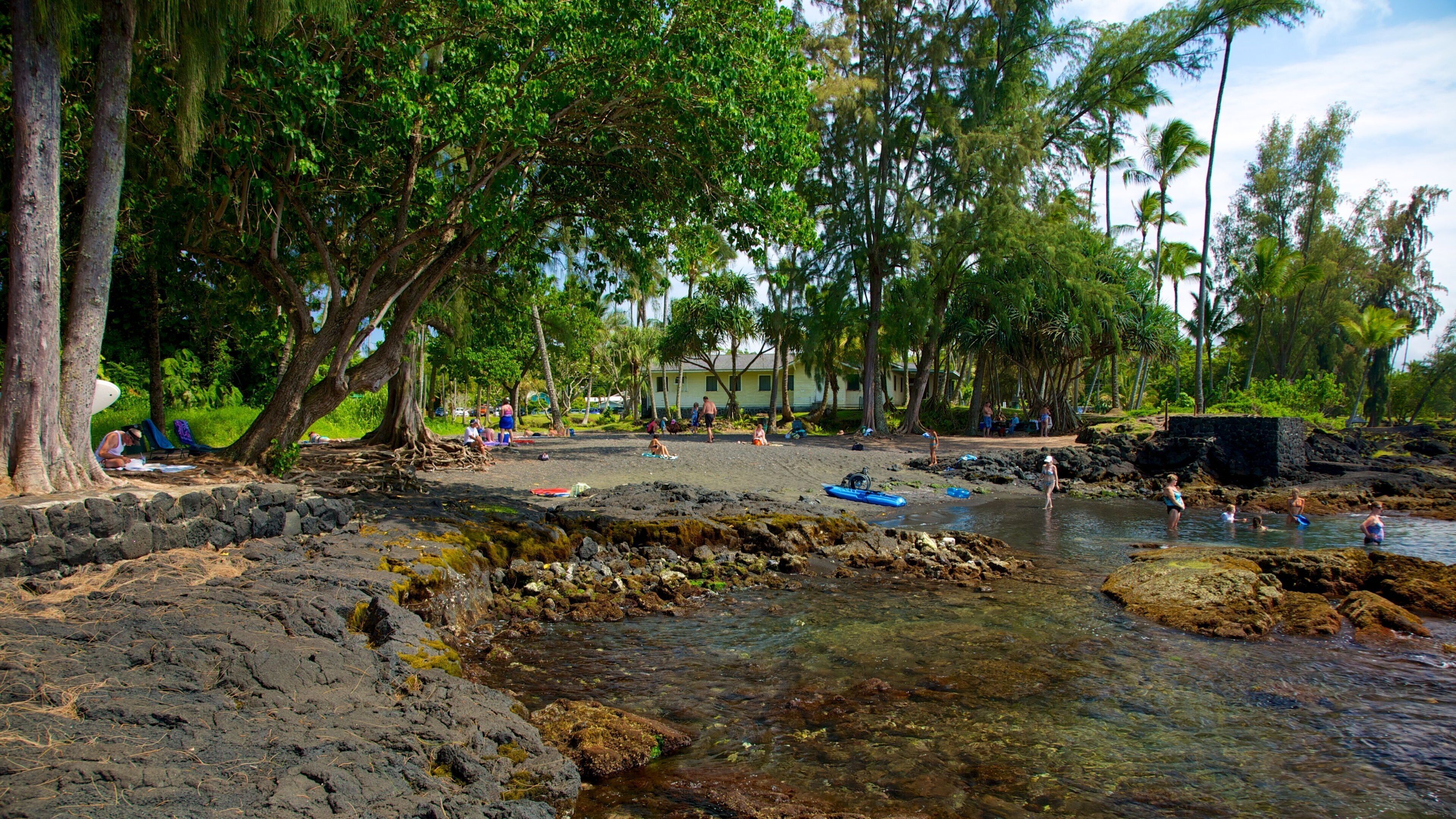 Richardson\'s Ocean Park featuring a pebble beach, landscape views and a garden