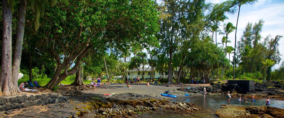 Richardson\'s Ocean Park mettant en vedette panoramas, jardin et plage de galets