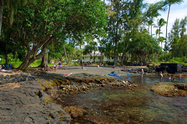 Richardson\'s Ocean Park mit einem Landschaften, Garten und Steinstrand