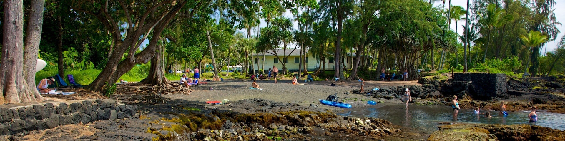 Richardson\'s Ocean Park featuring a pebble beach, landscape views and a garden