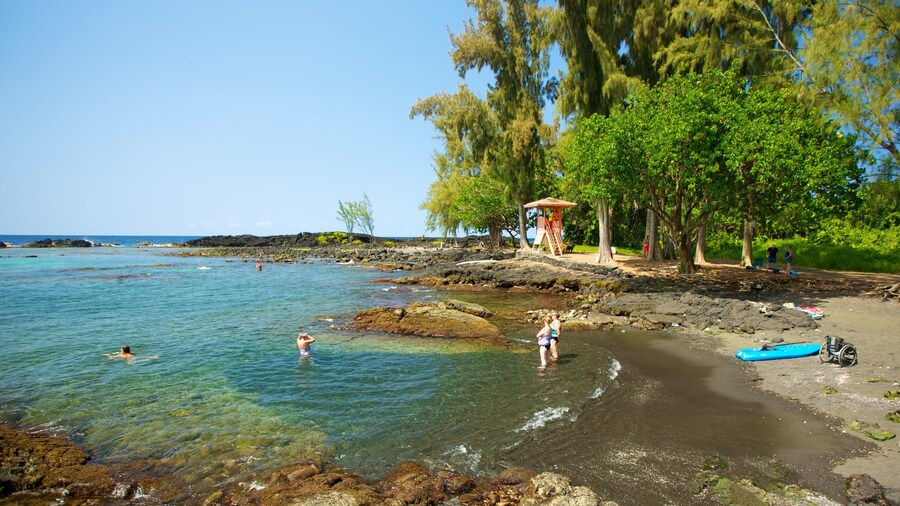 Richardson\'s Ocean Park que incluye una playa de arena y vistas de paisajes