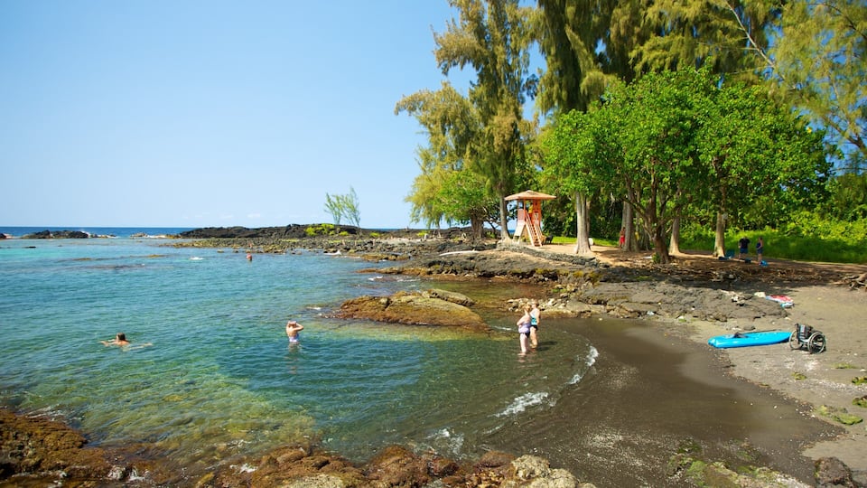 Richardson\'s Ocean Park showing a beach and landscape views