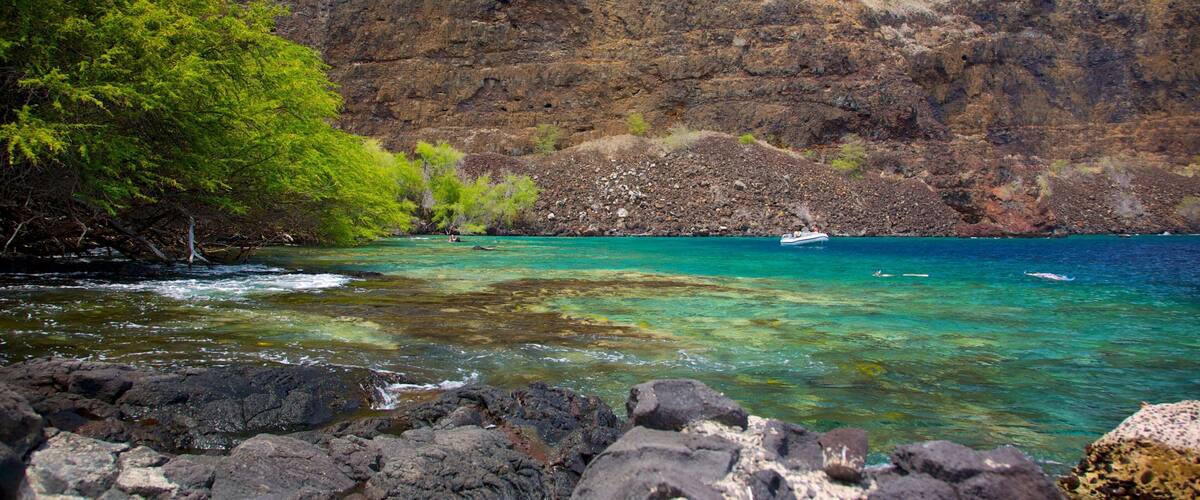 Captain Cook Monument showing a monument