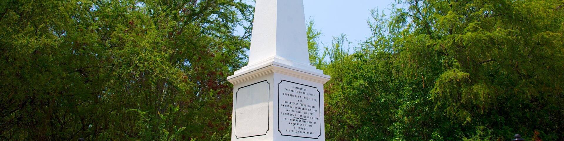 Captain Cook Monument featuring a monument