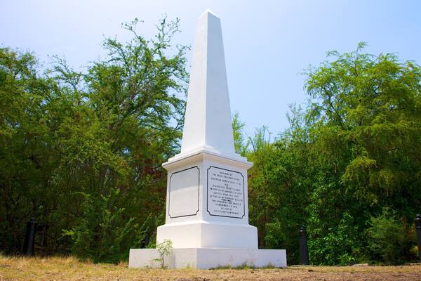 Captain Cook Monument featuring a monument
