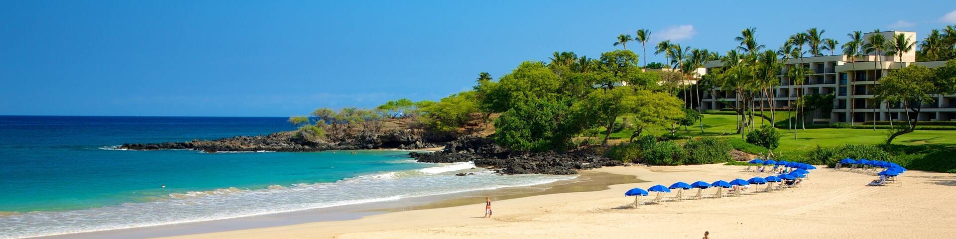 Hapuna Beach State Park featuring a sandy beach, a coastal town and tropical scenes