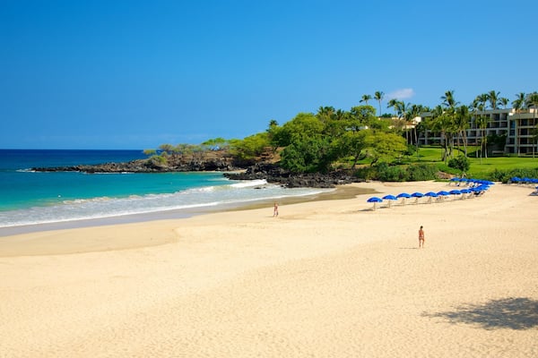Hapuna Beach State Park som inkluderar tropisk natur, en strand och ett lyxhotell