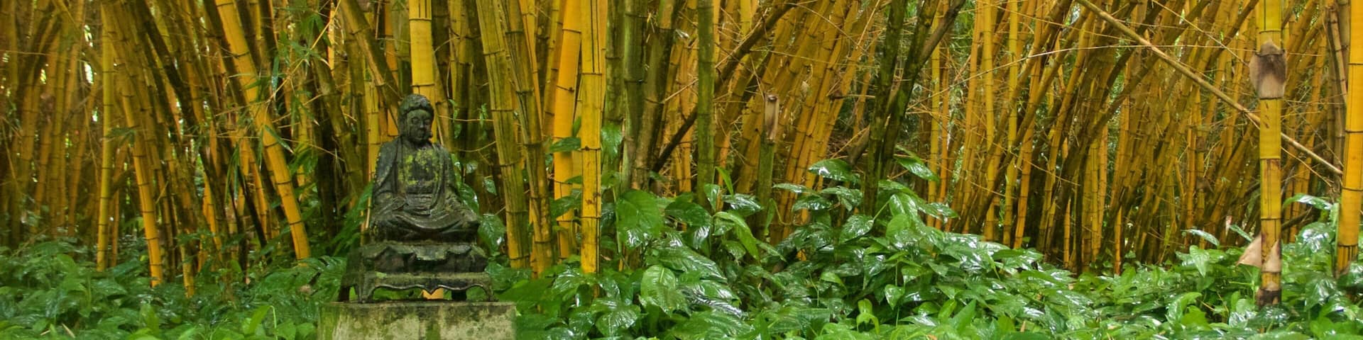 National Tropical Botanical Garden showing a monument and a statue or sculpture
