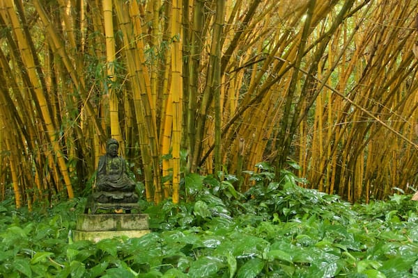 National Tropical Botanical Garden showing a monument and a statue or sculpture