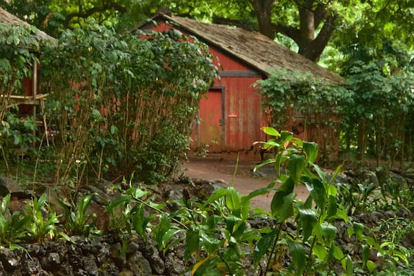 Allerton Botanical Garden que incluye un parque