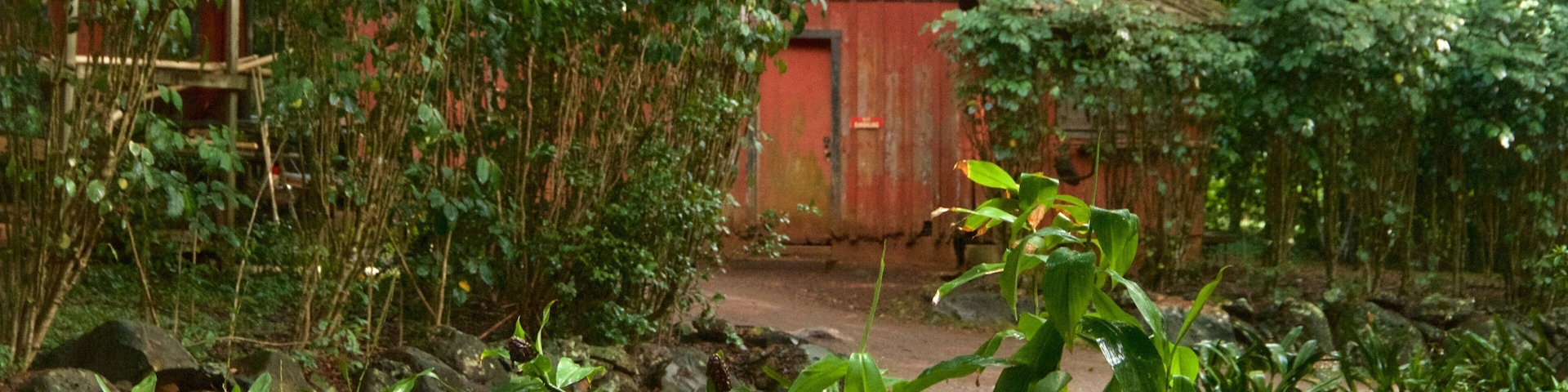 Allerton Botanical Garden featuring a park